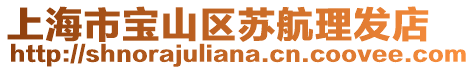 上海市寶山區蘇航理發店