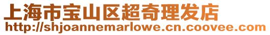 上海市寶山區超奇理發店