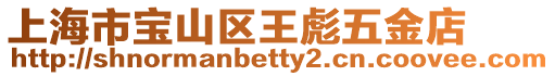 上海市寶山區王彪五金店