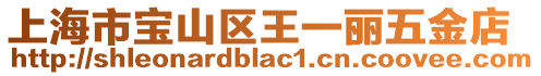 上海市寶山區王一麗五金店