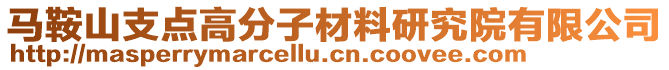 馬鞍山支點高分子材料研究院有限公司