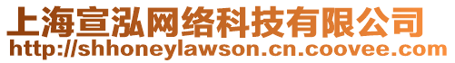 上海宣泓網絡科技有限公司