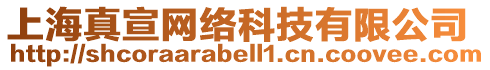 上海真宣網(wǎng)絡(luò)科技有限公司