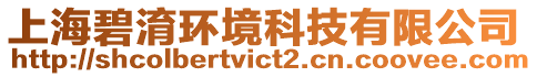 上海碧淯環境科技有限公司