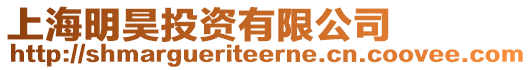 上海明昊投資有限公司