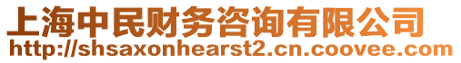 上海中民財務咨詢有限公司