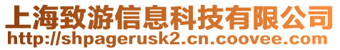 上海致游信息科技有限公司