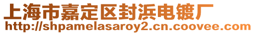 上海市嘉定區封浜電鍍廠