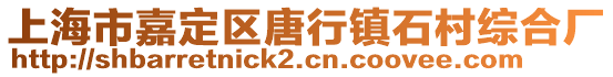 上海市嘉定區唐行鎮石村綜合廠