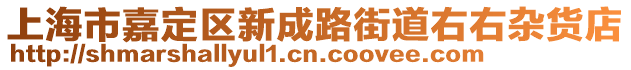 上海市嘉定區(qū)新成路街道右右雜貨店