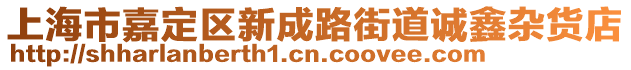 上海市嘉定區新成路街道誠鑫雜貨店