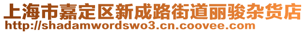上海市嘉定區新成路街道麗駿雜貨店