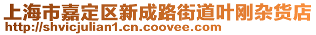 上海市嘉定區(qū)新成路街道葉剛雜貨店