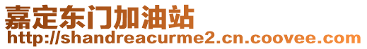 嘉定東門加油站