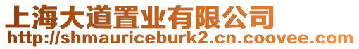 上海大道置業(yè)有限公司