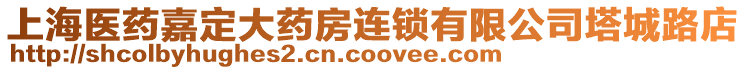 上海醫(yī)藥嘉定大藥房連鎖有限公司塔城路店