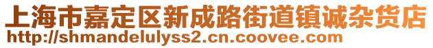 上海市嘉定區(qū)新成路街道鎮(zhèn)誠(chéng)雜貨店
