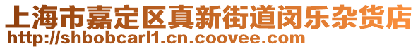 上海市嘉定區(qū)真新街道閔樂雜貨店