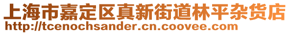 上海市嘉定區(qū)真新街道林平雜貨店