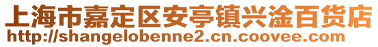 上海市嘉定區(qū)安亭鎮(zhèn)興淦百貨店