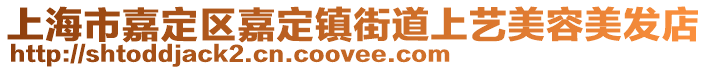 上海市嘉定區(qū)嘉定鎮(zhèn)街道上藝美容美發(fā)店