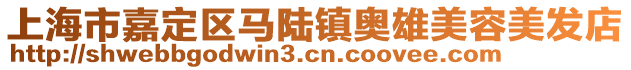 上海市嘉定區馬陸鎮奧雄美容美發店