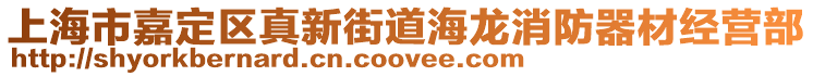 上海市嘉定區真新街道海龍消防器材經營部