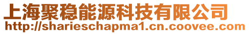 上海聚穩能源科技有限公司
