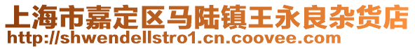 上海市嘉定區馬陸鎮王永良雜貨店
