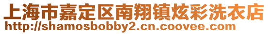 上海市嘉定區(qū)南翔鎮(zhèn)炫彩洗衣店