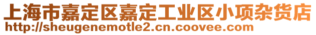 上海市嘉定區嘉定工業區小項雜貨店