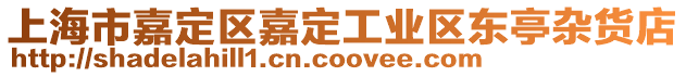 上海市嘉定區(qū)嘉定工業(yè)區(qū)東亭雜貨店