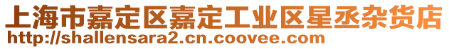 上海市嘉定區嘉定工業區星丞雜貨店