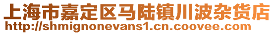 上海市嘉定區馬陸鎮川波雜貨店