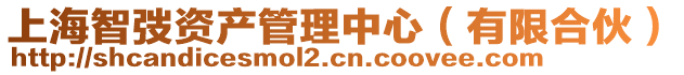 上海智弢資產管理中心(有限合伙)