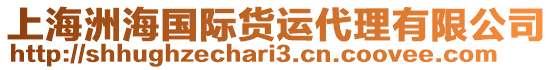 上海洲海國際貨運代理有限公司
