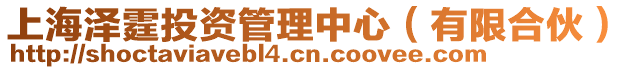 上海澤霆投資管理中心（有限合伙）