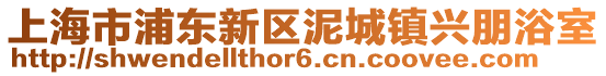 上海市浦東新區(qū)泥城鎮(zhèn)興朋浴室