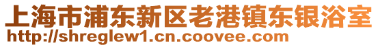上海市浦東新區(qū)老港鎮(zhèn)東銀浴室