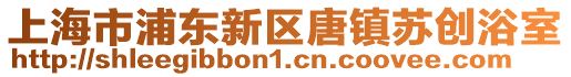 上海市浦東新區唐鎮蘇創浴室