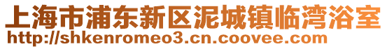 上海市浦東新區泥城鎮臨灣浴室