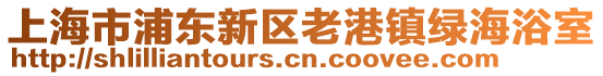 上海市浦東新區(qū)老港鎮(zhèn)綠海浴室