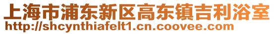 上海市浦東新區高東鎮吉利浴室