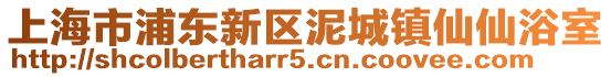 上海市浦東新區(qū)泥城鎮(zhèn)仙仙浴室
