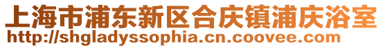 上海市浦東新區(qū)合慶鎮(zhèn)浦慶浴室