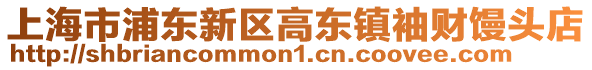 上海市浦東新區(qū)高東鎮(zhèn)袖財(cái)饅頭店