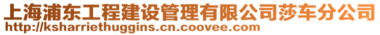 上海浦東工程建設管理有限公司莎車分公司