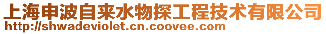 上海申波自來水物探工程技術(shù)有限公司