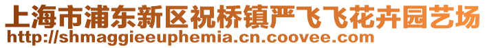 上海市浦東新區(qū)祝橋鎮(zhèn)嚴(yán)飛飛花卉園藝場