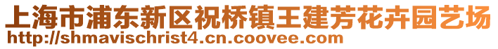 上海市浦東新區祝橋鎮王建芳花卉園藝場